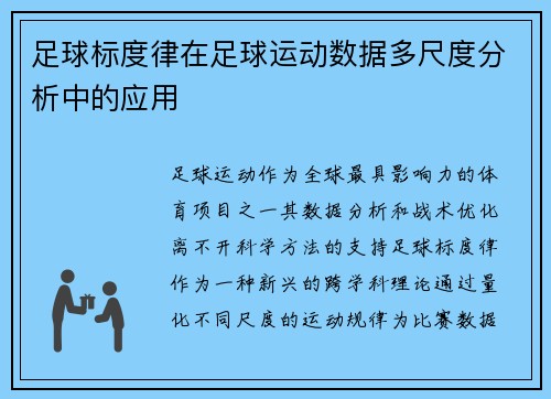 足球标度律在足球运动数据多尺度分析中的应用